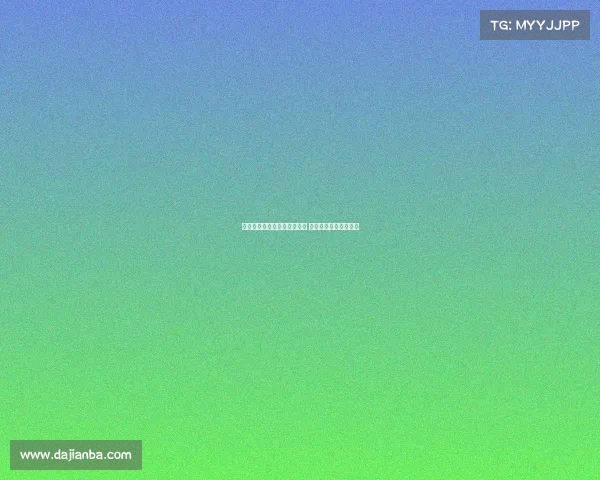 高效装备整理技巧与方法揭秘 让你的物品归类更有序